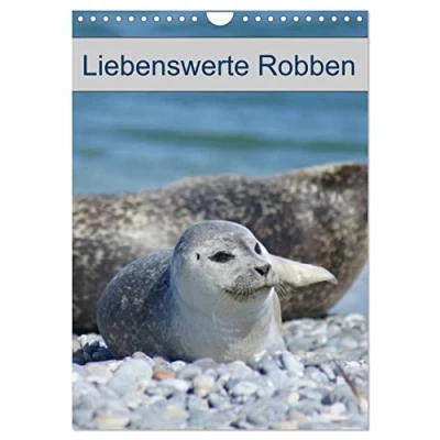 Abbildung von Liebenswerte Robben (Wandkalender 2025 DIN A4 hoch), CALVENDO Monatskalender