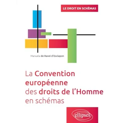 Abbildung von La Convention européenne des droits de l&#039;Homme en schémas: A jour au 30 avril 2024 (Le droit schémas)