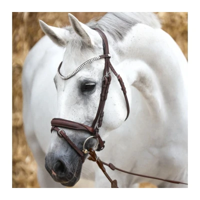 Abbildung von Kavalkade Trense Everness Schwarz Warmblut Agradi.deVerkauft von Agradi