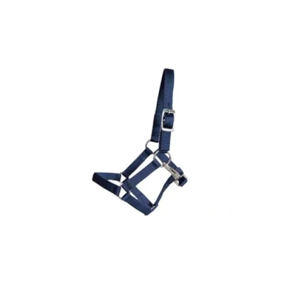 Abbildung von Gartenpferd Halfter, blau