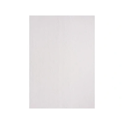 Abbildung von LMG Rückwände für Bindemappen DIN A4 240 g/qm weiß