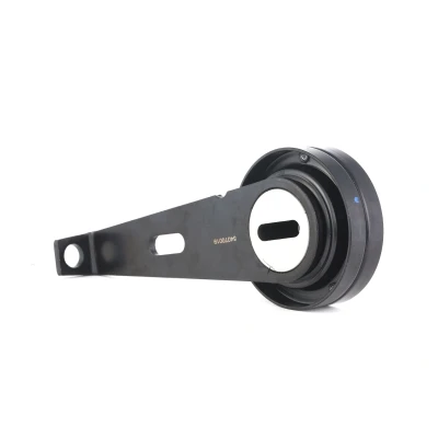Abbildung von INA 531 0097 10 Spannrolle PEUGEOT: 306 Schrägheck, Partner I Combispace, Kombi, CITROËN: Berlingo / First I, Xsara Kombi
