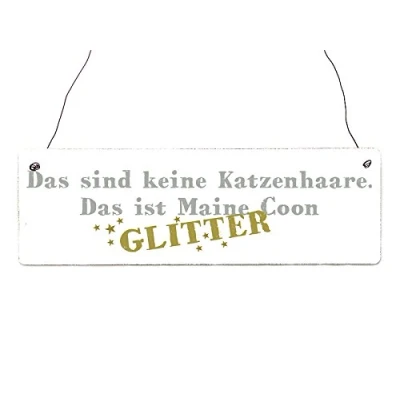 Abbildung von Interluxe Holzschild DAS SIND Keine Katzenhaare * Maine Coon Tierisch Spruch