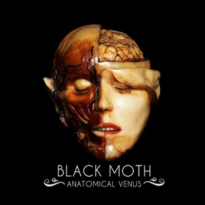 Abbildung von Anatomical Venus (Vinyl) [Vinyl LP]