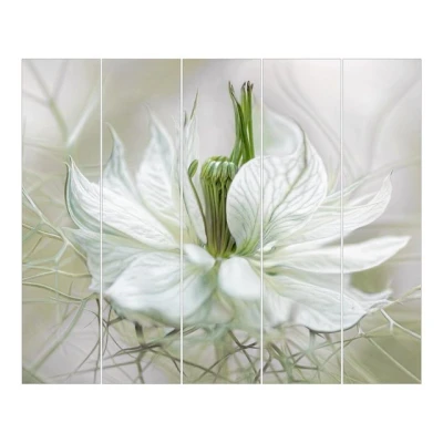 Abbildung von Bilderwelten Schiebegardinen Weiße Nigella 5 Flächenvorhänge Ohne Aufhängung 5X 250x60cm