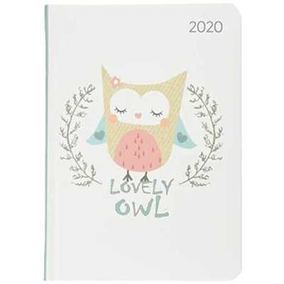 Abbildung von Ladytimer Lovely Owl 2020 Eule Taschenkalender A6 (11 x 15) Weekly 192 Seiten Notizbuch Terminplaner: Eule. Terminplaner