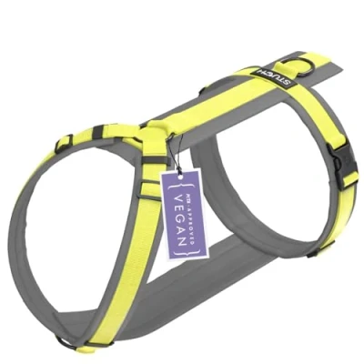 Abbildung von STUCH Hundegeschirr verstellbares Nylon Geschirr gepolstert Für kleine, mittlere und große Hunde (Lime, S)