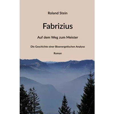 Abbildung von Fabrizius Auf dem Weg zum Meister: Die Geschichte einer Bioenergetischen Analyse: Analyse Roman