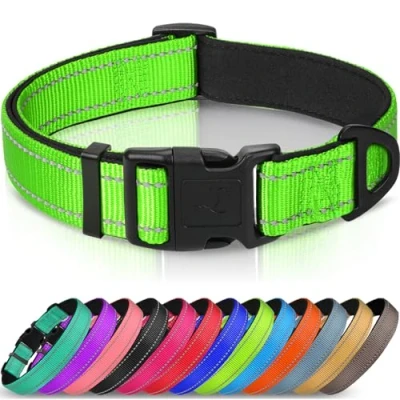 Abbildung von Joytale Halsband Hund, Gepolstertes Hundehalsband Breit aus Neopren Nylon Verstellbar für Kleine Hunde, Weich und Reflektierend Hundehalsbänder, S, Grün