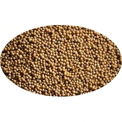 Abbildung von Eder Gewürze Senfkörner, gelb 1kg , Senfsaat, Senfsamen