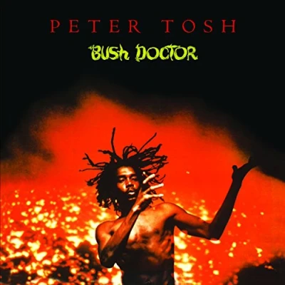 Abbildung von Bush Doctor [Vinyl LP]