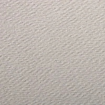 Abbildung von Clairefontaine 90869C Packung (mit 5 Bögen Zeichenpapier Etival Color, DIN A4, 21 x 29,7 cm, 160g, gekörnt, ideal für Trockentechnik und Einrahmen) graurosa