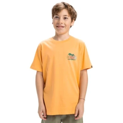 Abbildung von Quiksilver Sunny Palms Tshirt print für Kinder, Größe: 164, Chamois