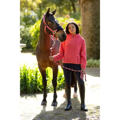 Abbildung von LeMieux Hoodie Young Rider Avalon Cranberry 134/140 Agradi.deVerkauft von Agradi