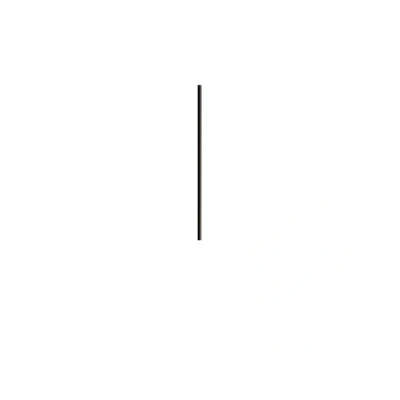 Abbildung von Verlängerungsstange Deckenleuchte Bird, 110,5 cm, schwarz