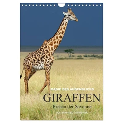 Abbildung von Magie des Augenblicks Giraffen Riesen der Savanne (Wandkalender 2025 DIN A4 hoch), CALVENDO Monatskalender