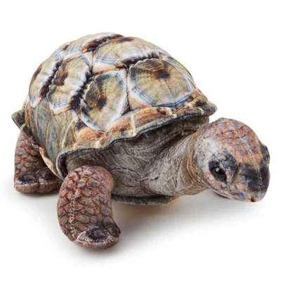 Abbildung von Zappi Co Kinder Realistisches Weiches Kuscheliges Plüschtier Perfekte Spielgefährten für mit Lebensechtem Detail, vorgestellt auf TikTok (26cm Länge) (Aldabra Riesenschildkröte)