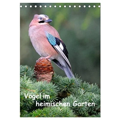 Abbildung von Vögel im heimischen Garten (Tischkalender 2025 DIN A5 hoch), CALVENDO Monatskalender