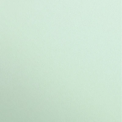 Abbildung von Clairefontaine 97168C Tonzeichenpapier Pack, 25 Bögen Premium, 50 x 70 cm, 120 g, minze