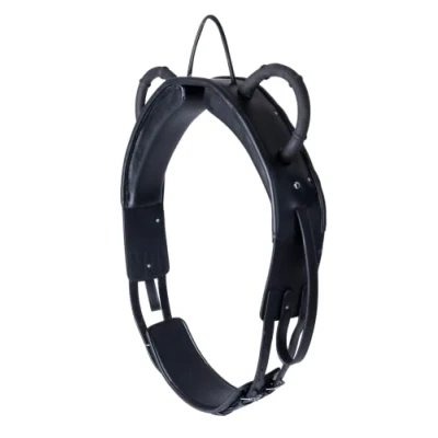 Abbildung von Waldhausen Voltegiergurt Training Schwarz Warmblut