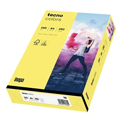 Abbildung von 5 x Inapa Multifunktionspapier tecno colors A4 160 g/qm VE=250 Blatt m