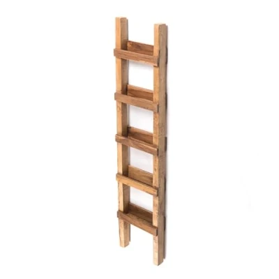 Abbildung von DESIGN DELIGHTS Regal LEITERREGAL &quot;STEP 170&quot;, Mahagoni Holz, 170x35 cm, Pflanzenleiter