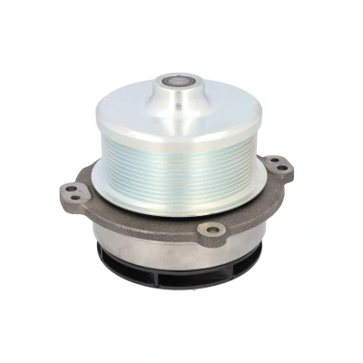 Abbildung von FEBI BILSTEIN 172341 Wasserpumpe Grauguss mit Dichtring Kunststoff