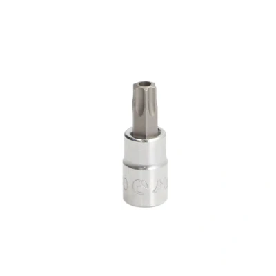 Abbildung von Torxeinsatz HANS 1/4 zoll Torx Tamper T40