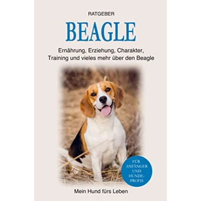 Abbildung von Beagle: Erziehung, Ernährung, Training, Charakter und einiges mehr über den Beagle Hund