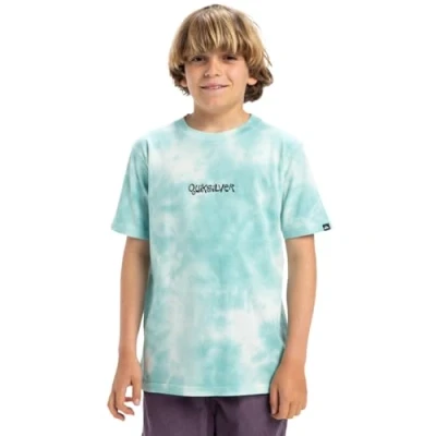 Abbildung von Quiksilver FROG Ritual TEE Youth Unisex Tshirt print für Kinder, Größe: 128, Marine blue