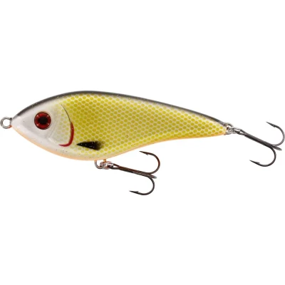 Abbildung von Westin SWIM GLIDEBAIT SINKING 3,2&quot; OFFICIAL ROACH