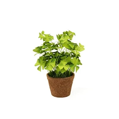 Abbildung von FloristryWarehouse Kleeblatt Oxalis aus Kunstseide, 25 cm, Grün