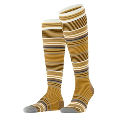 Abbildung von Burlington Stripe Kniestrümpfe, Herren, Größe: 40 46, Solar