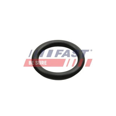 Abbildung von FAST FT49426 Ansaugkrümmerdichtung Eingang FORD: FIESTA 5, 6, Fusion Kombi, PEUGEOT: 206 Schrägheck, 207 107 Schrägheck