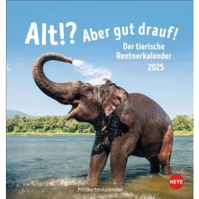 Abbildung von Alt! Aber gut drauf Postkartenkalender 2025 Der tierische Rentnerkalender: Witziger Kalender für Rentner und Senioren mit lustigen Tierfotos ... zum Schmunzeln (Postkartenkalender Heye)