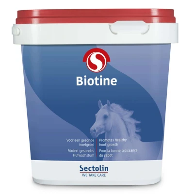Abbildung von Sectolin Equivital biotine