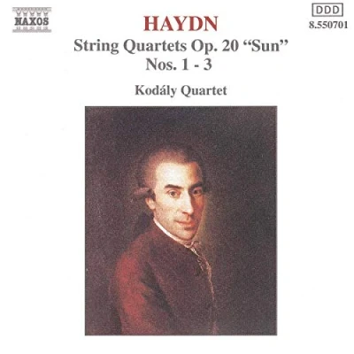 Abbildung von Haydn Streichquartette Op. 20 1 3 Koda