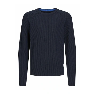 Abbildung von Jack &amp; Jones Rundhalspullover &quot;JJPANNEL KNIT CREW NECK AW24&quot;