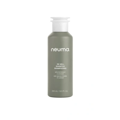 Abbildung von Neuma Re Neu Shampoo 250ml