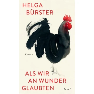 Abbildung von Als wir an Wunder glaubten: Roman