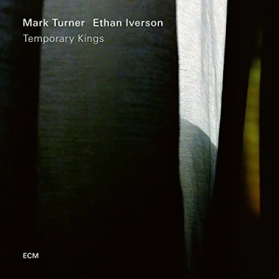 Abbildung von Temporary Kings [Vinyl LP]