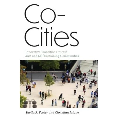 Abbildung von Co Cities: Innovative Transitions toward Just and Self Sustaining Communities (Urban Industrial Environments)