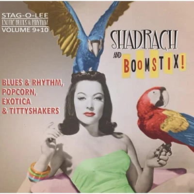 Abbildung von Exotic Blues &amp; Rhythm Vol.09+10