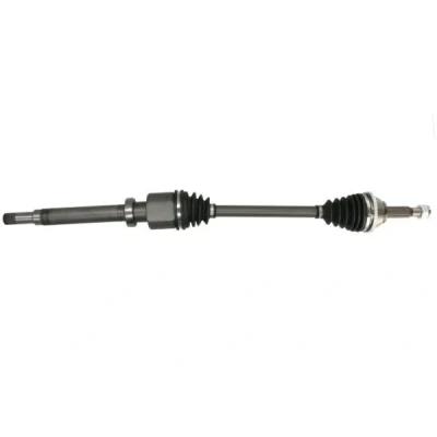 Abbildung von Antriebswelle PASCAL G2G029PC
