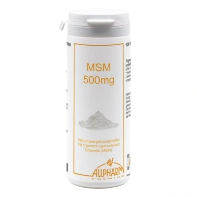 Abbildung von MSM 500 mg Kapseln 100 St