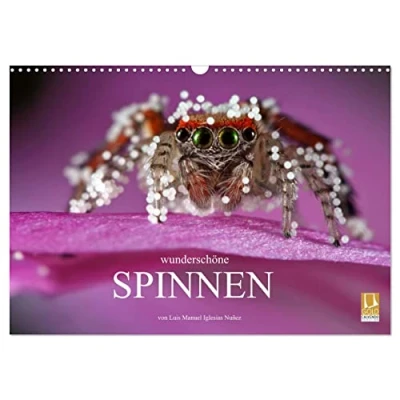 Abbildung von Wunderschöne Spinnen (Wandkalender 2025 DIN A3 quer), CALVENDO Monatskalender