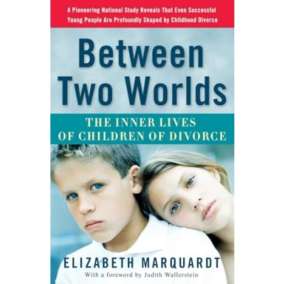 Abbildung von Between Two Worlds: The Inner Lives of Children Divorce