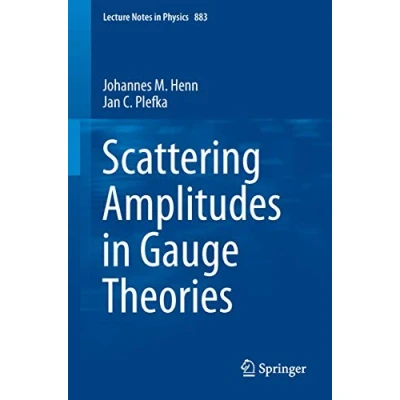 Abbildung von Scattering Amplitudes in Gauge Theories (Lecture Notes Physics, Band 883)