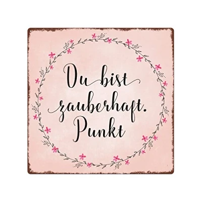 Abbildung von Interluxe 20x20cm METALLSCHILD Türschild DU BIST ZAUBERHAFT. Punkt Geschenk Rosa Shabby