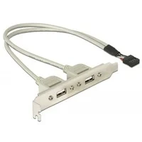 Abbildung von Delock Slotblech 2 x USB 2.0 Typ A Buchse extern